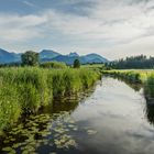 Ostallgäu im Sommer