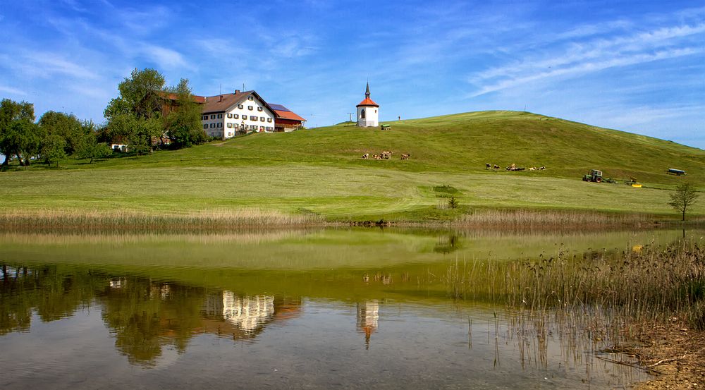 Ostallgäu Weiher beim Forggensee