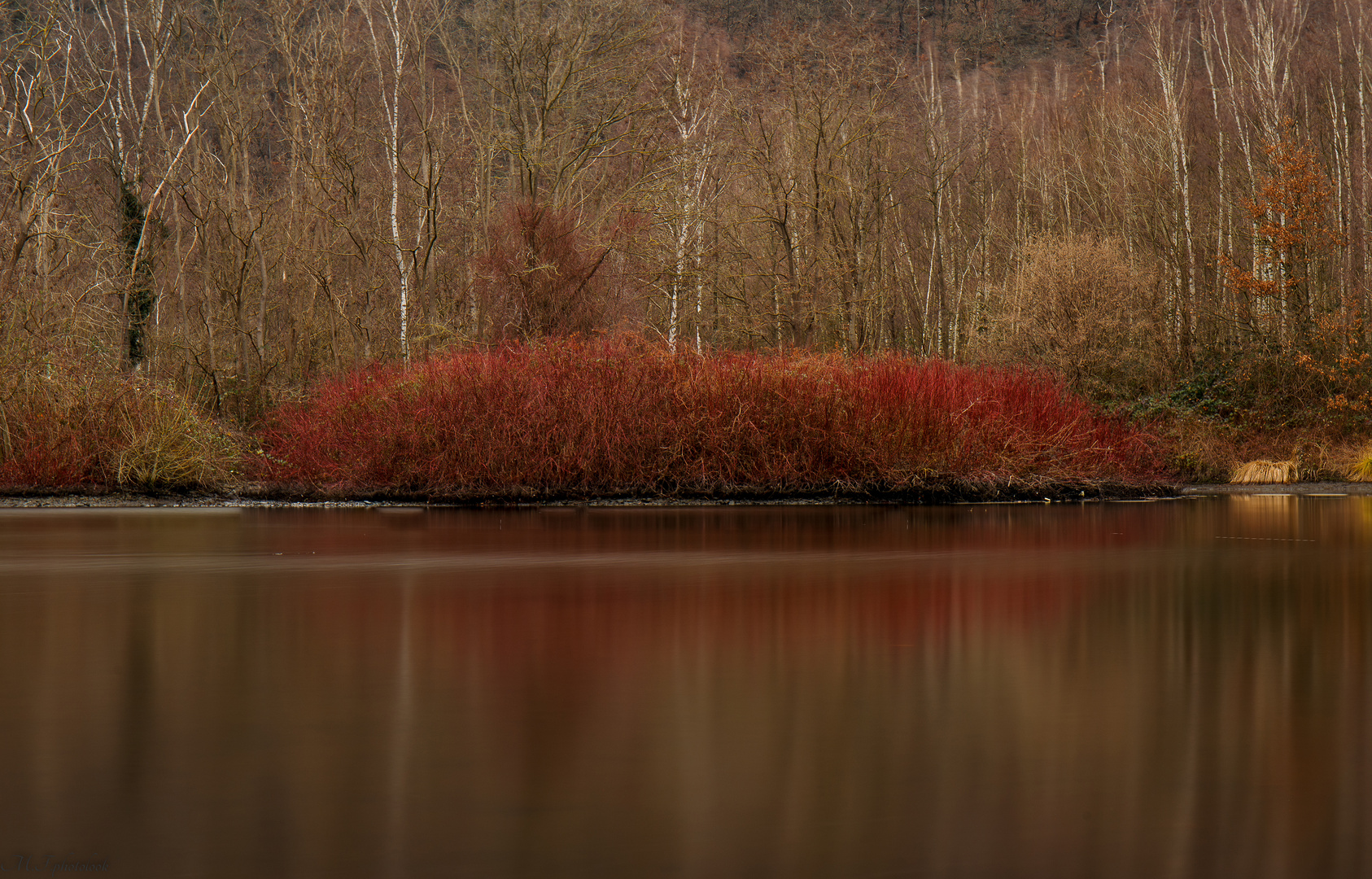 Ostbecken am Hengsteysee