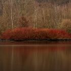 Ostbecken am Hengsteysee