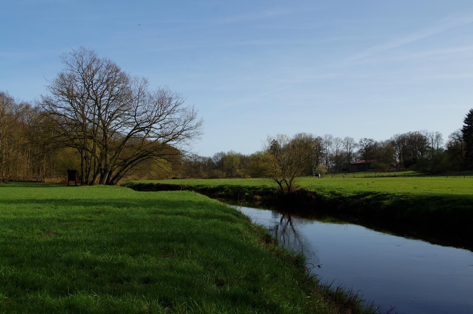 Oste in Godenstedt