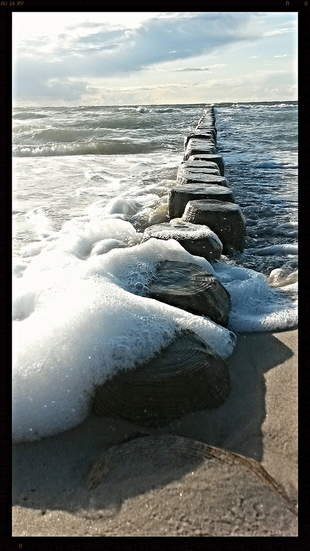 Osteestrand, Weststrand Darß