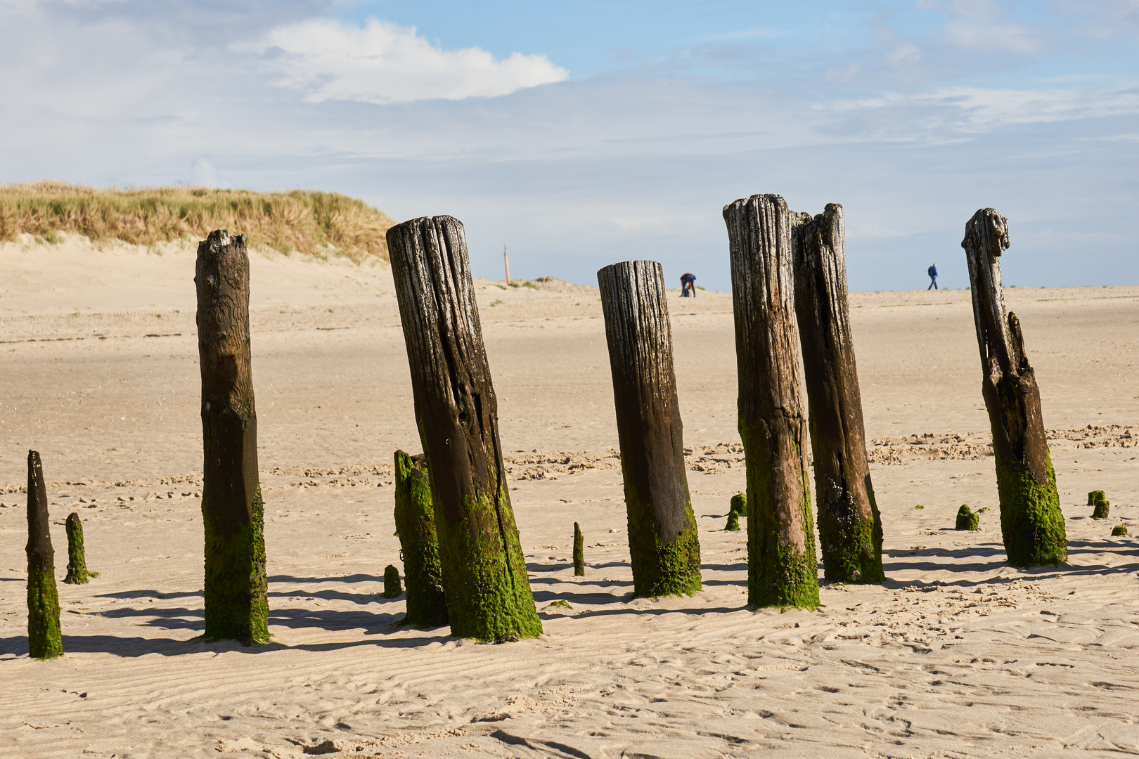 Ostende