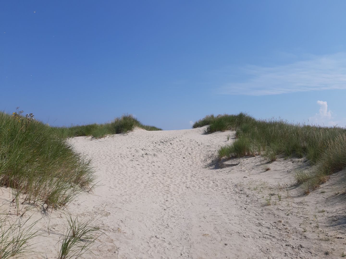 Ostende Insel Baltrum