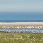 Ostende Langeoog