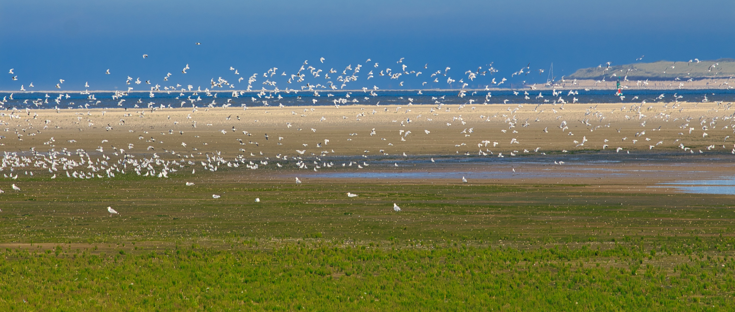 Ostende Langeoog