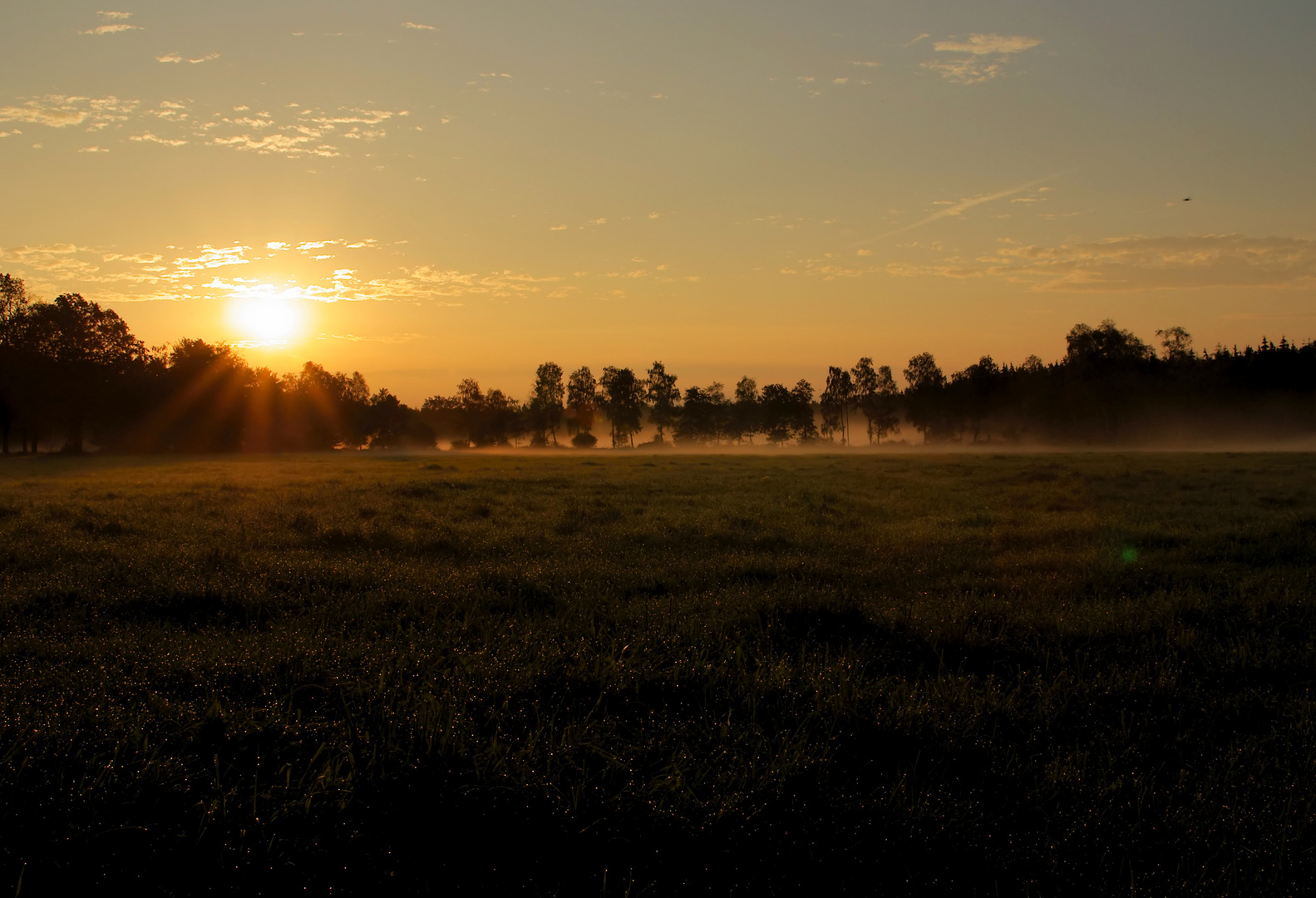 Ostenholzer Moor