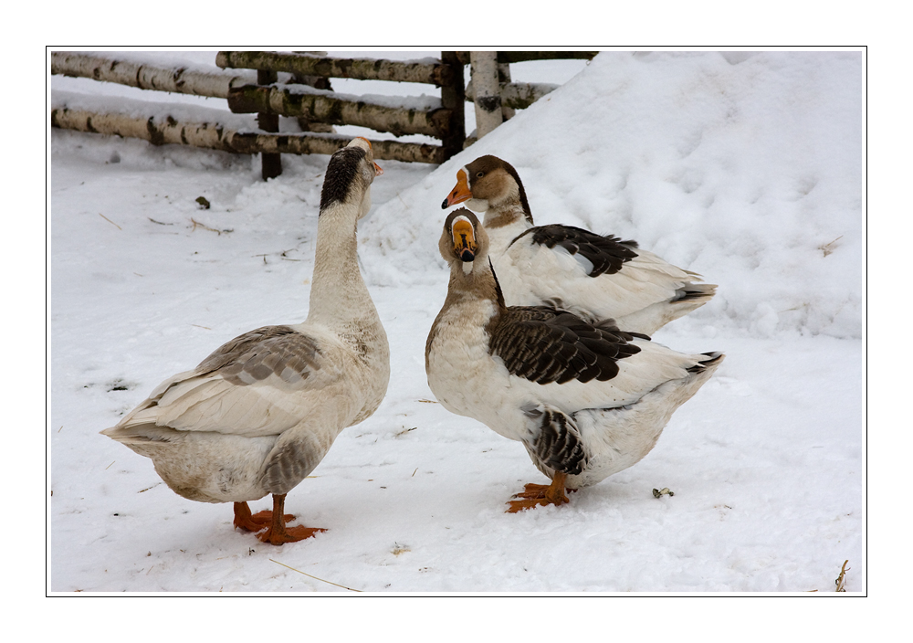 Oster-Besprechung