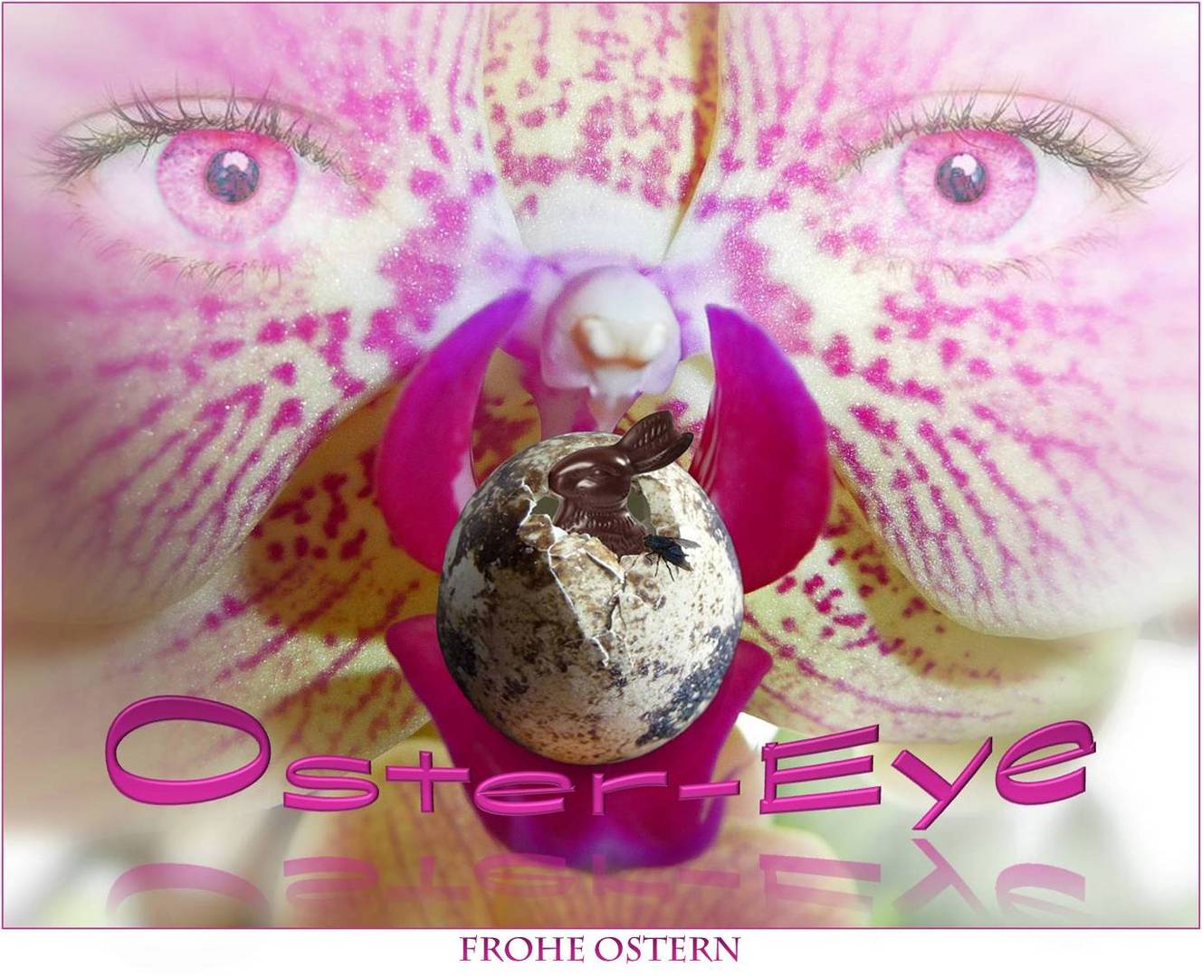 Oster Eye