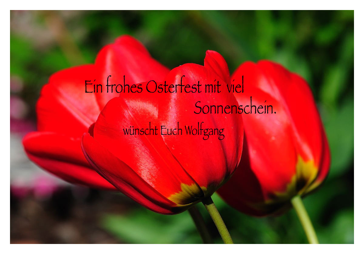 ---- OSTER - GRUß ----