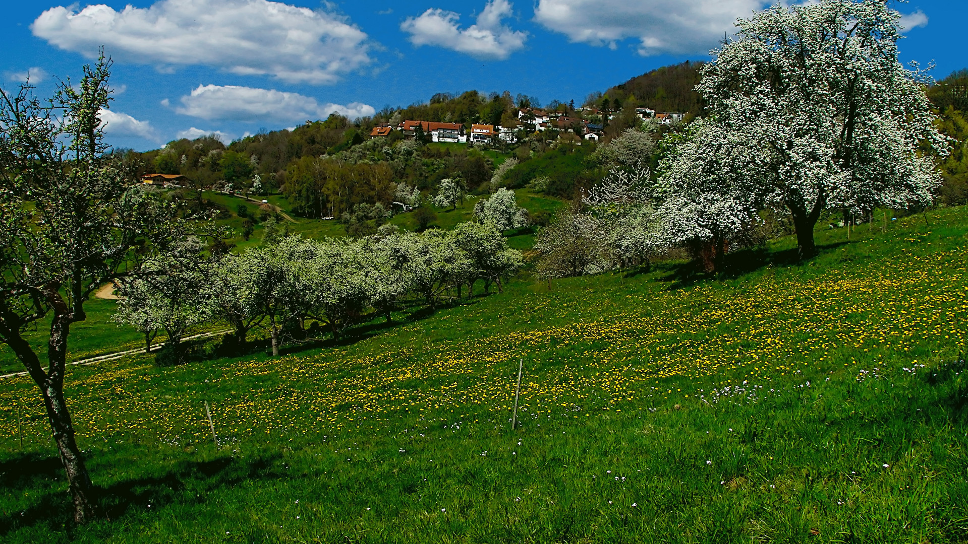 Oster - Impressionen aus dem Schwabenländle