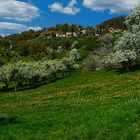 Oster - Impressionen aus dem Schwabenländle