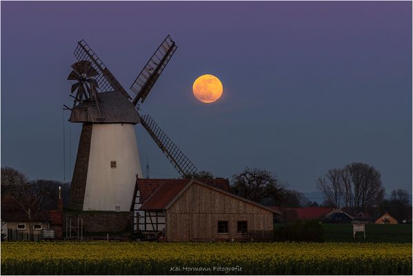 „Oster-Mond“ über der Eickhorster Windmühle.