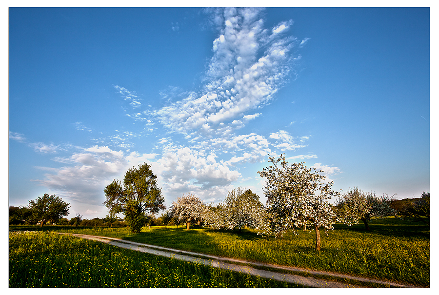 ~ oster (samstag) spaziergang III ~