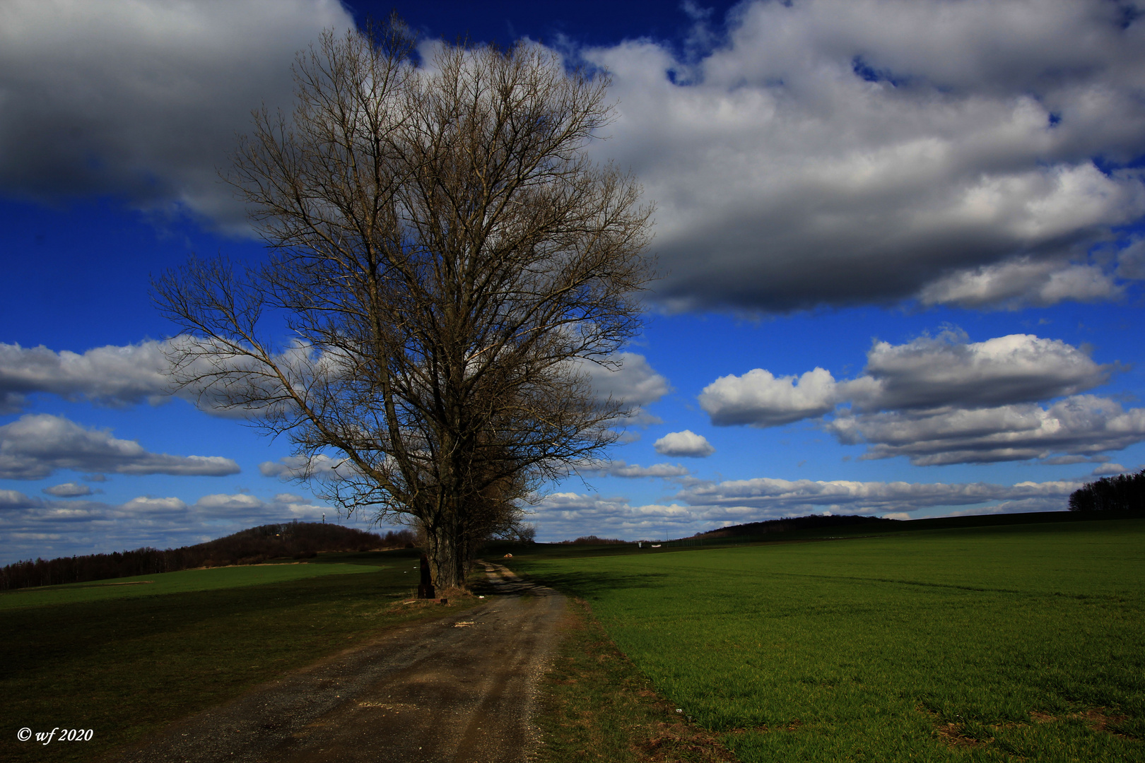 OSTER Spaziergang