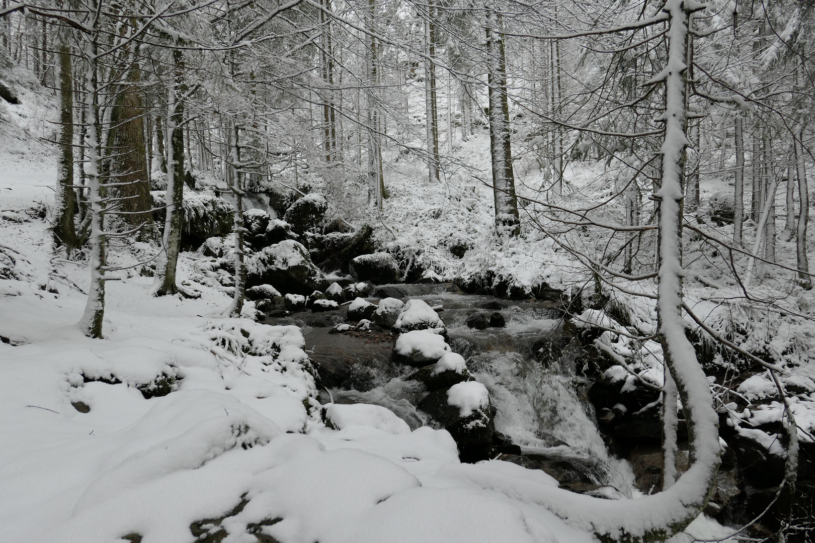 Osterbach im Winter