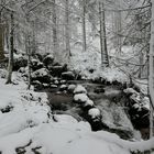 Osterbach im Winter