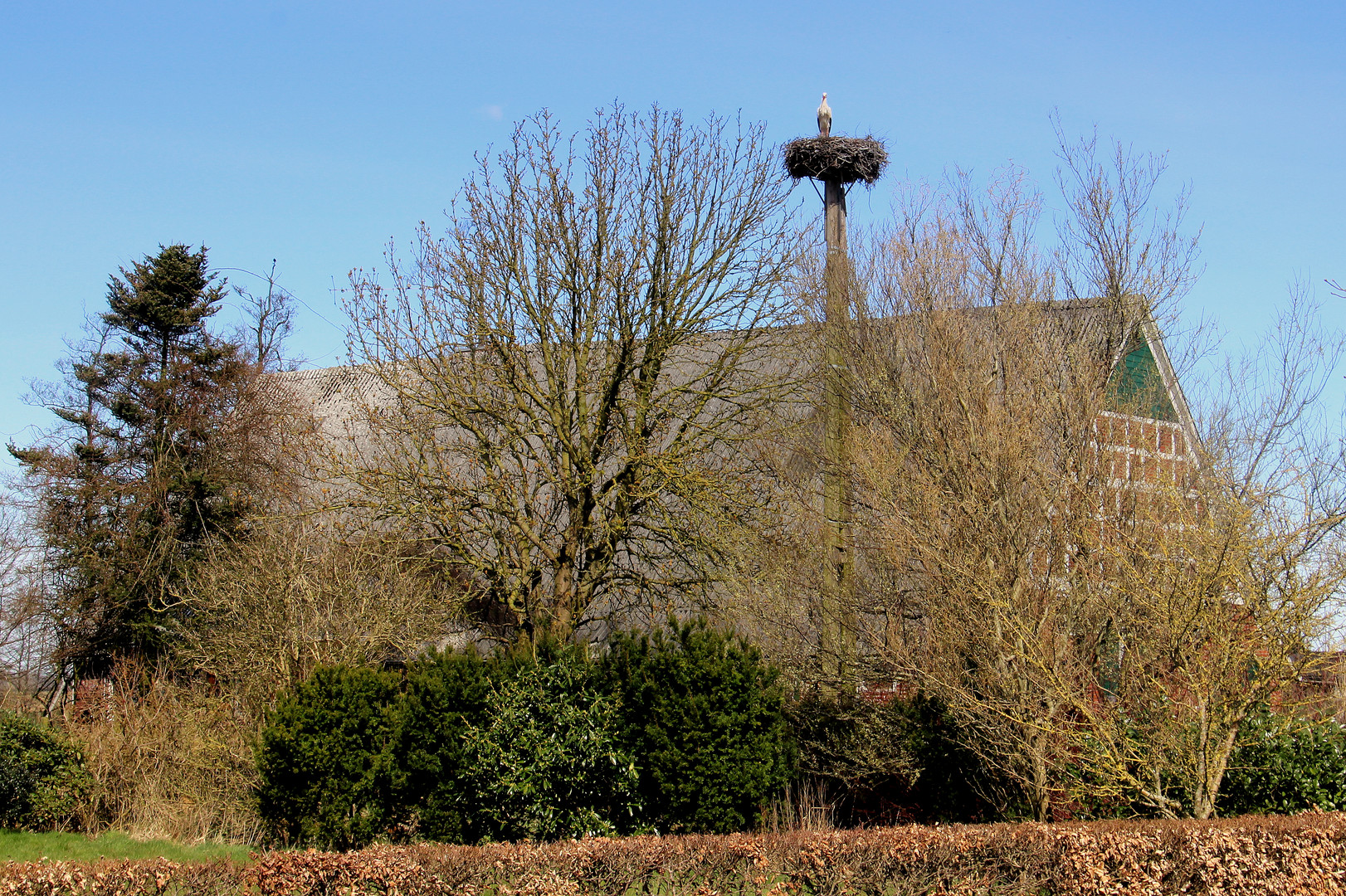 Osterbesuch