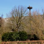 Osterbesuch