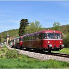 Osterbetrieb im Krebsbachtal (2)