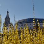 Osterburg - Frühlingserwachen 