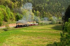 Osterdampf im Elmsteinertal