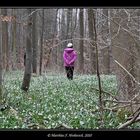 Osterei im Märzenbecherwald