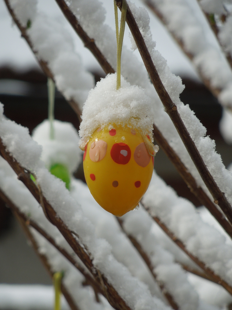 Osterei im Schnee