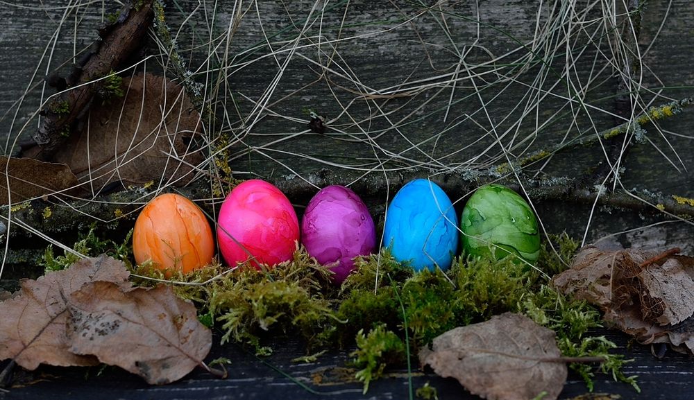 Ostereier Foto & Bild | stillleben, arrangierte szenen, ostern eier
