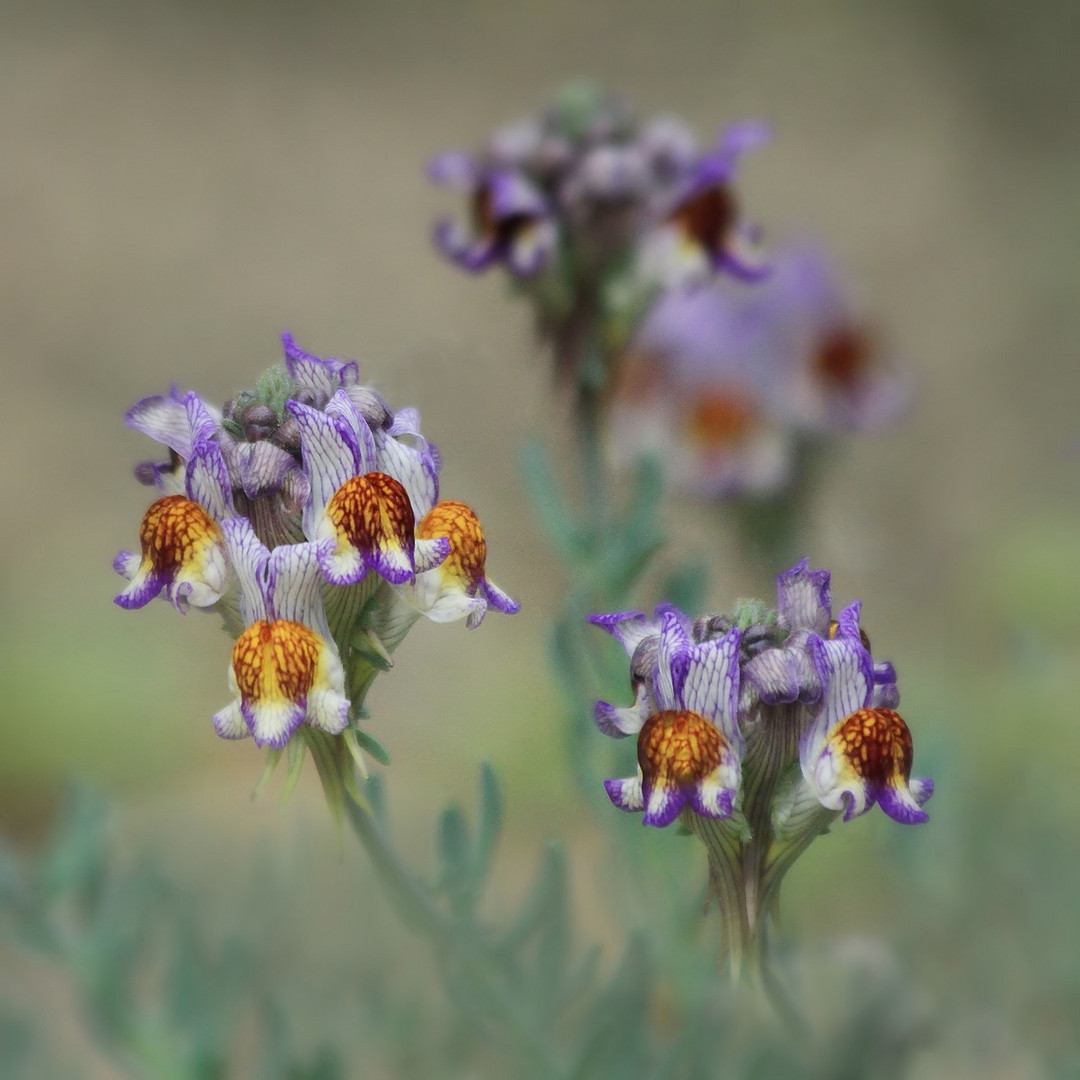 "Ostereiersuche" im Botanischen Garten!