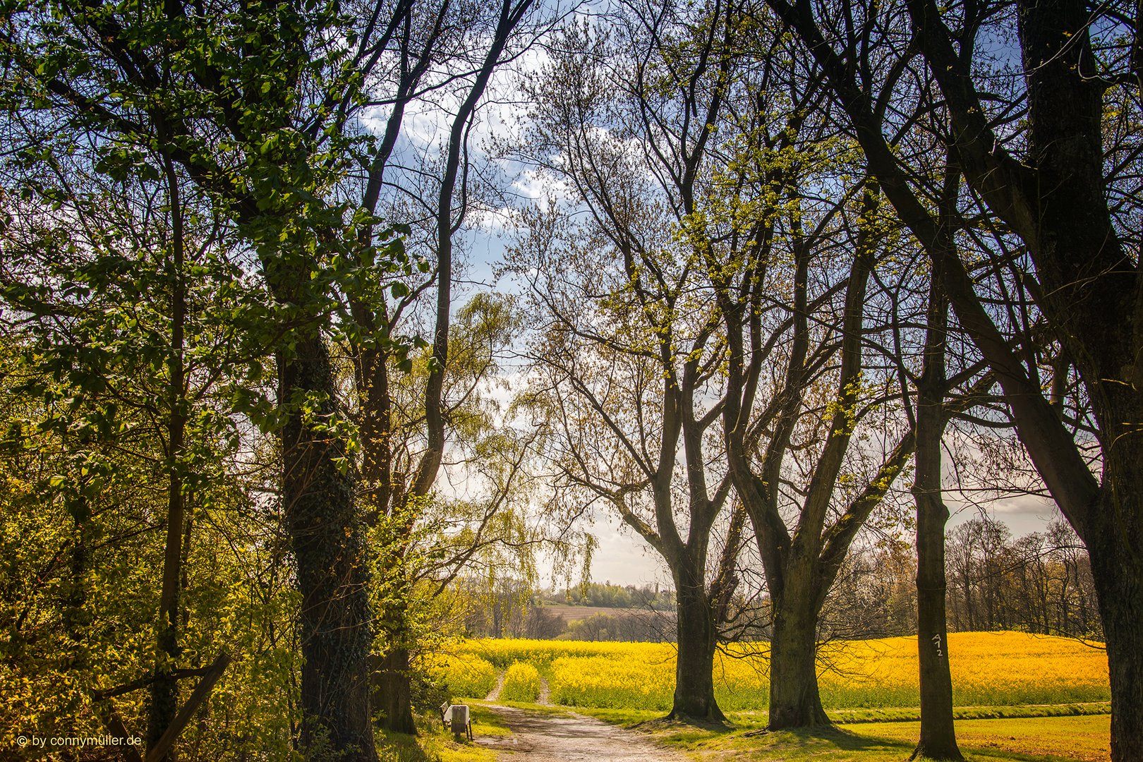 Osterfeldweg