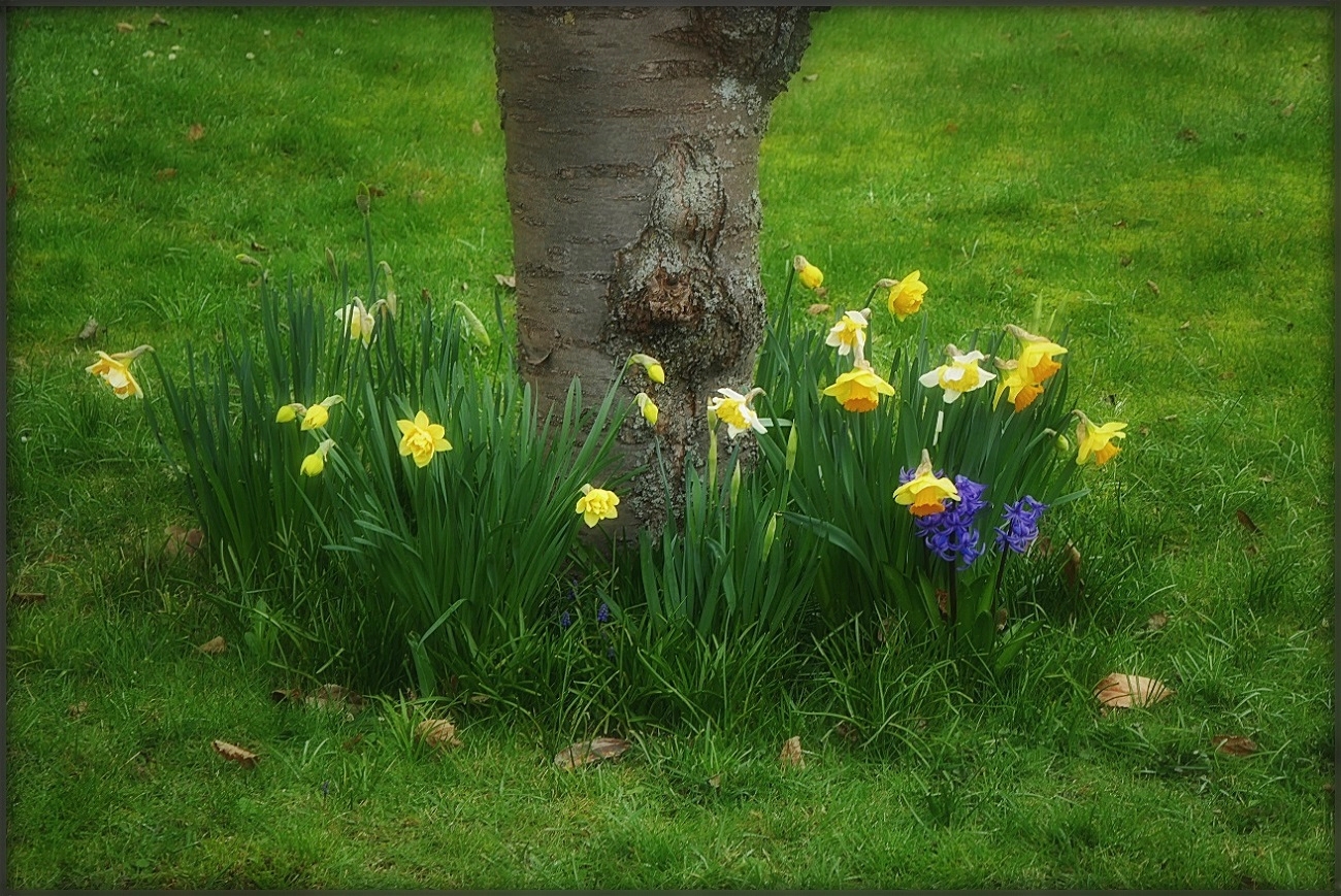 ...Osterfest allerseits