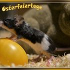 Osterfest