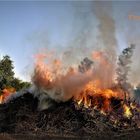 Osterfeuer - ein umstrittener Brauch?!?