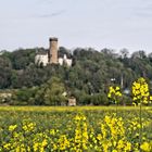 Osterfrühling vor Schloß Dehrn und alter Kapelle an der Lahn (LK Limburg Weilburg)