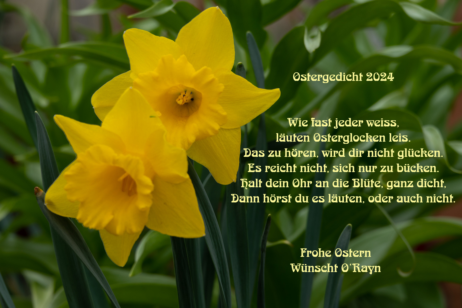 Ostergedicht 2024-ORayn.