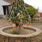 Osterglocken Brunnen Biebelnheim