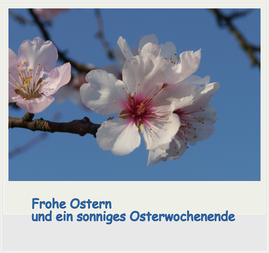 Ostergrüße