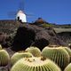 Lanzarote