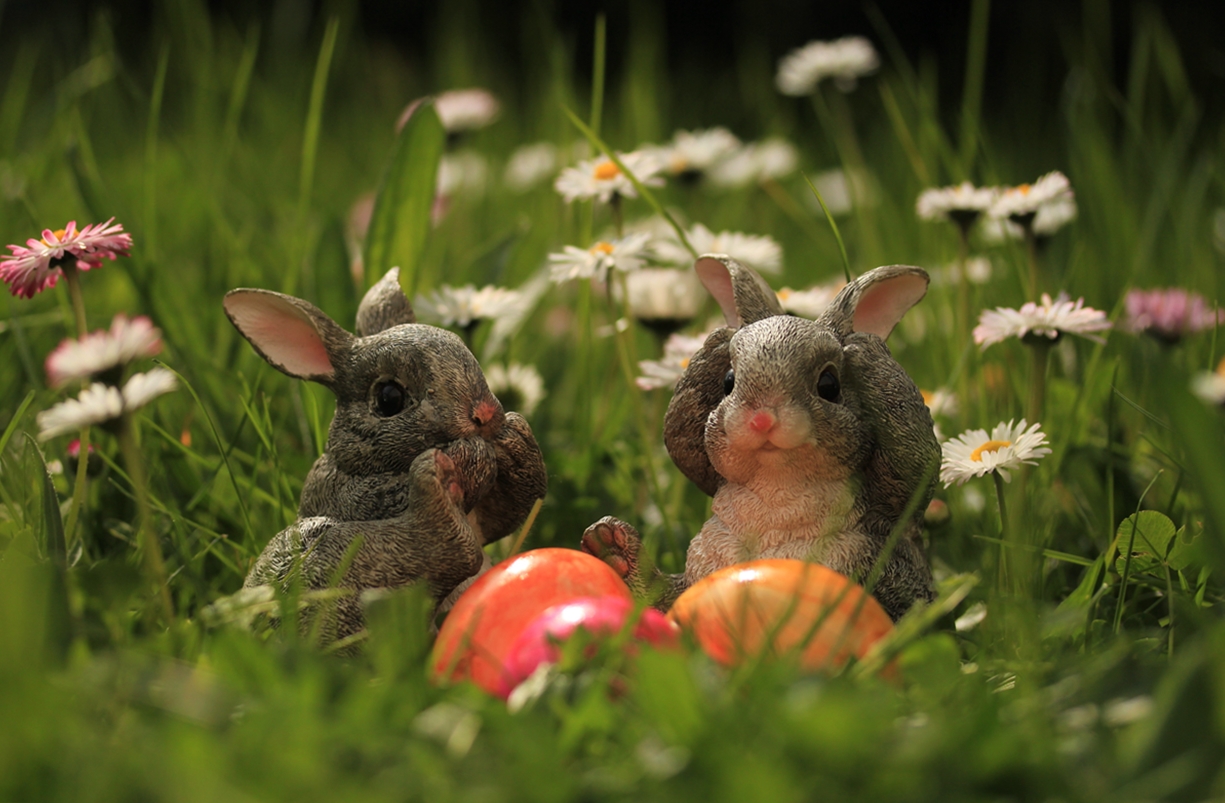 Herzliche Ostergrüße Bilder 2021 Herzliche Ostergrüße Bilder 2021