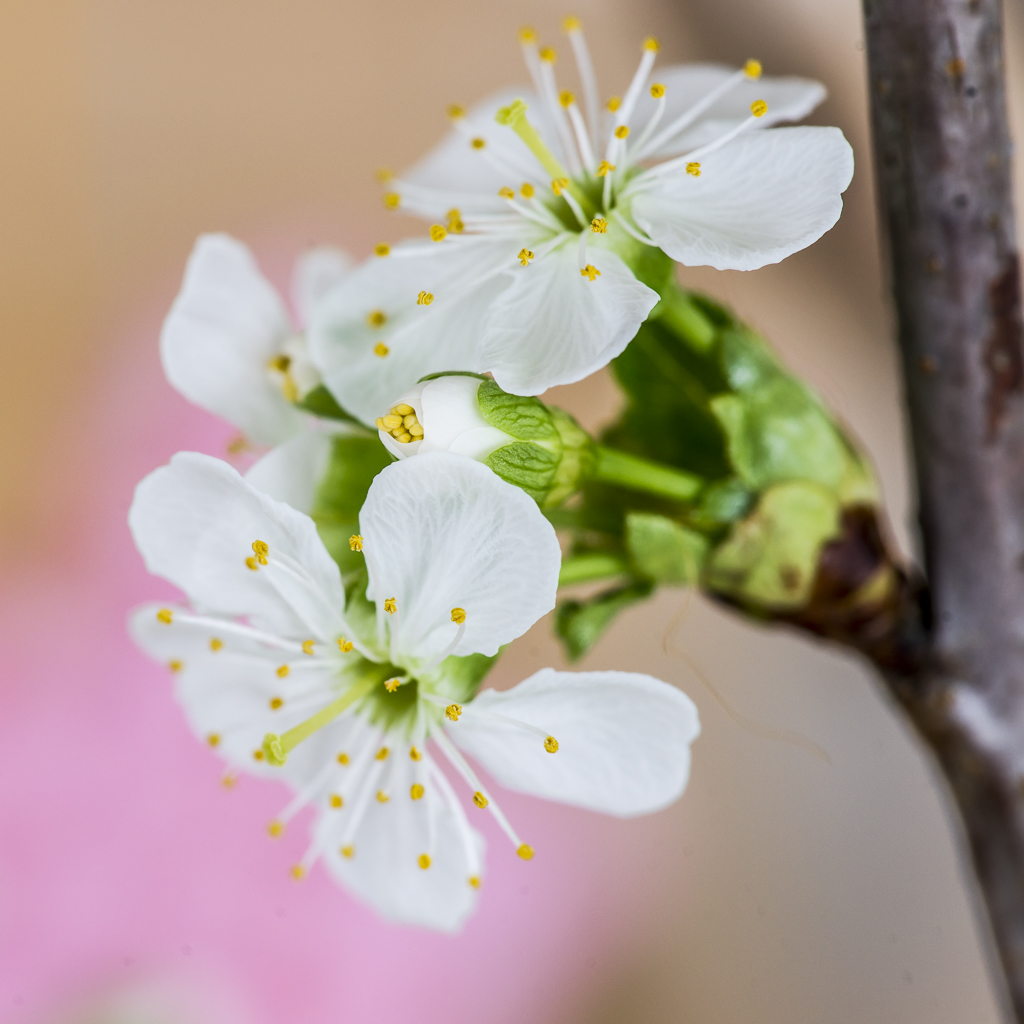 Herzliche Ostergrüße Bilder 2021 Herzliche Ostergrüße Bilder 2021
