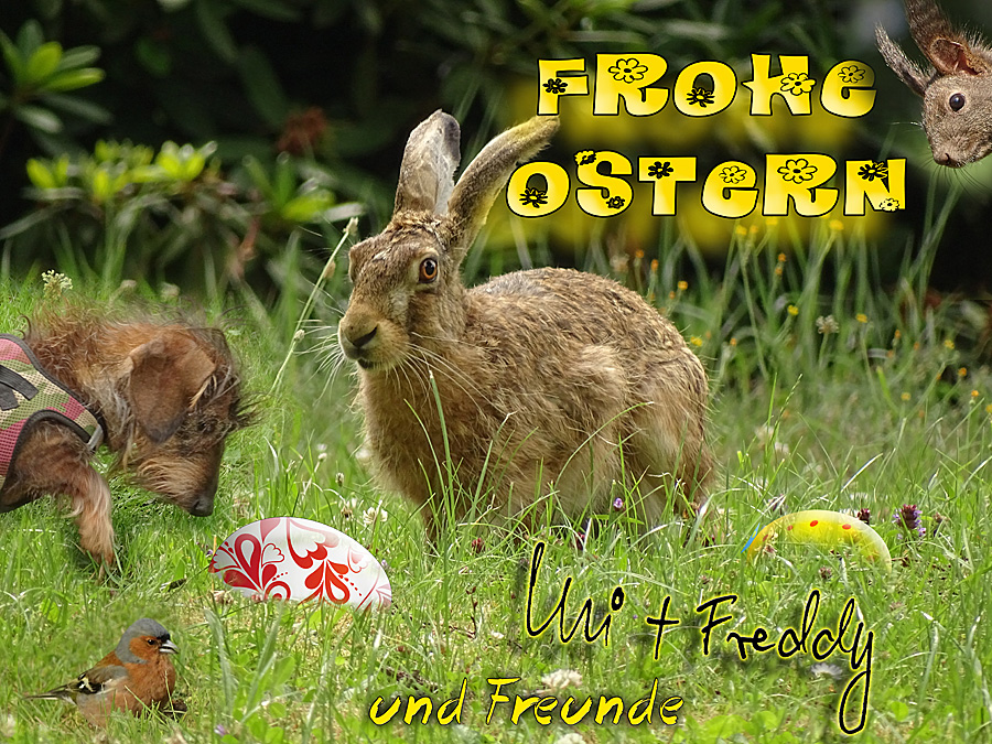 Herzliche Ostergrüße Bilder 2021 Herzliche Ostergrüße Bilder 2021