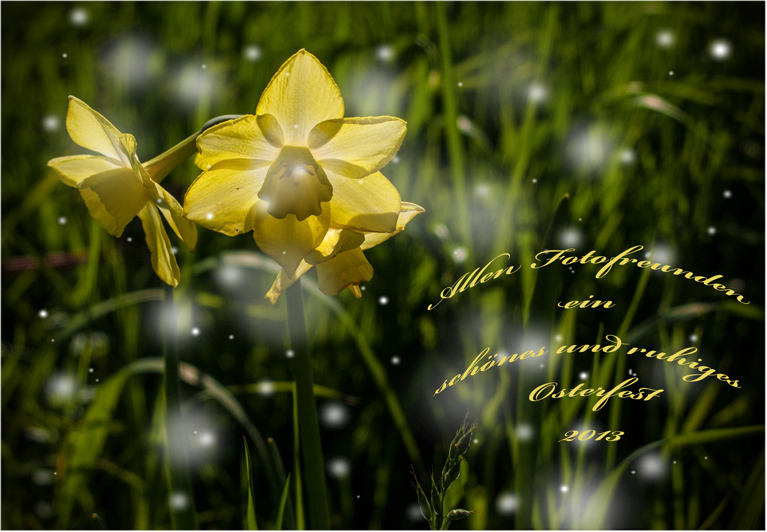 Ostergrüße Foto & Bild | karten und kalender, osterkarten, karten