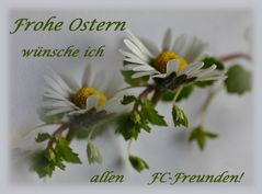 Ostergrüße ...