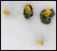 Ostergrüße mit Schnee