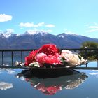 Ostergrüsse vom Lago Maggiore