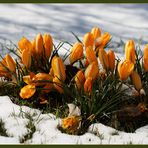 Ostergrüße vom Weihnachtsmann (die I.)