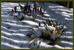 Ostergrüße vom Weihnachtsmann (die II.)