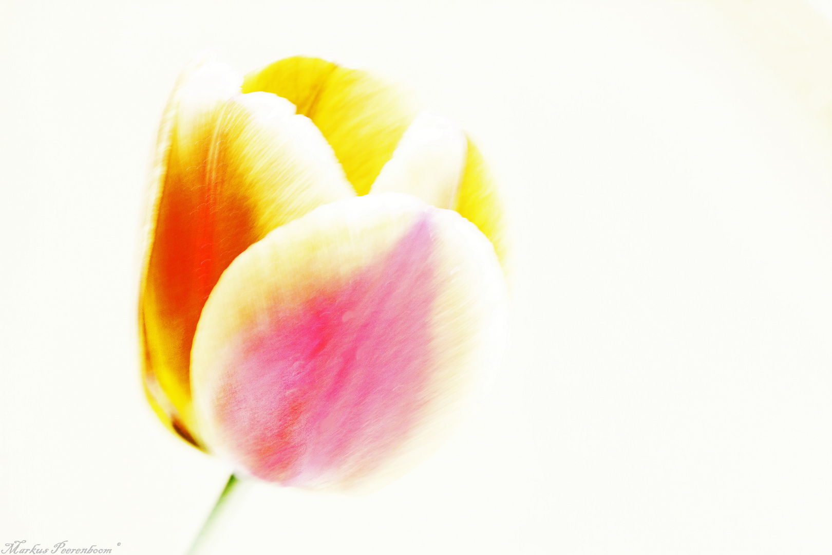 Ostergruß Foto & Bild | karten und kalender, osterkarten, spezial