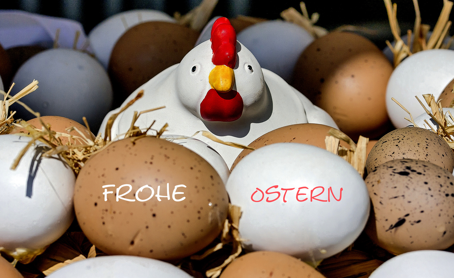 Ostergruss Foto & Bild | karten und kalender, osterkarten, buntspecht